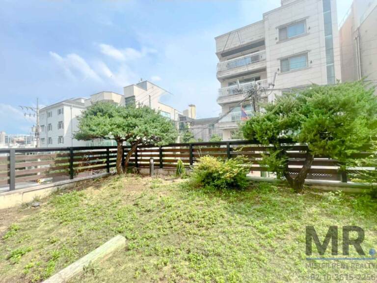 Private garden lawn with pine trees and wooden fence