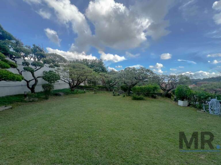 Large private lawn bordered by pine trees under a blue sky