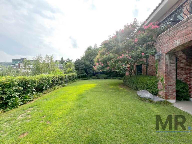 Long garden lawn with hedges and flowering trees