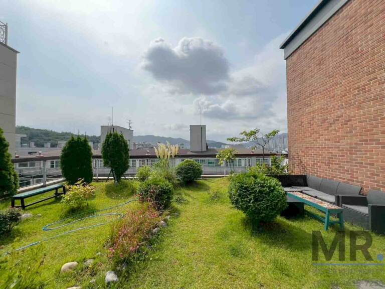 Rooftop lawn with shrubs, bench and lounge sofa set