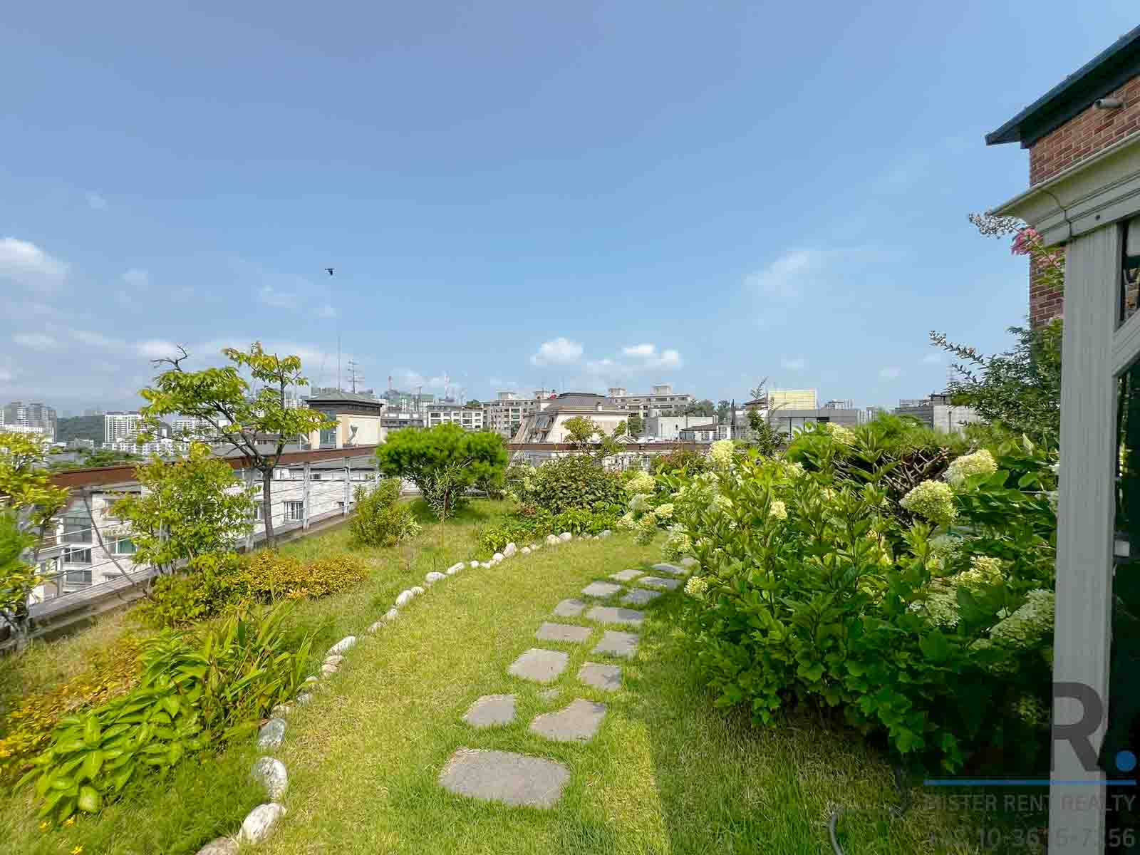 Lush rooftop garden with city view.