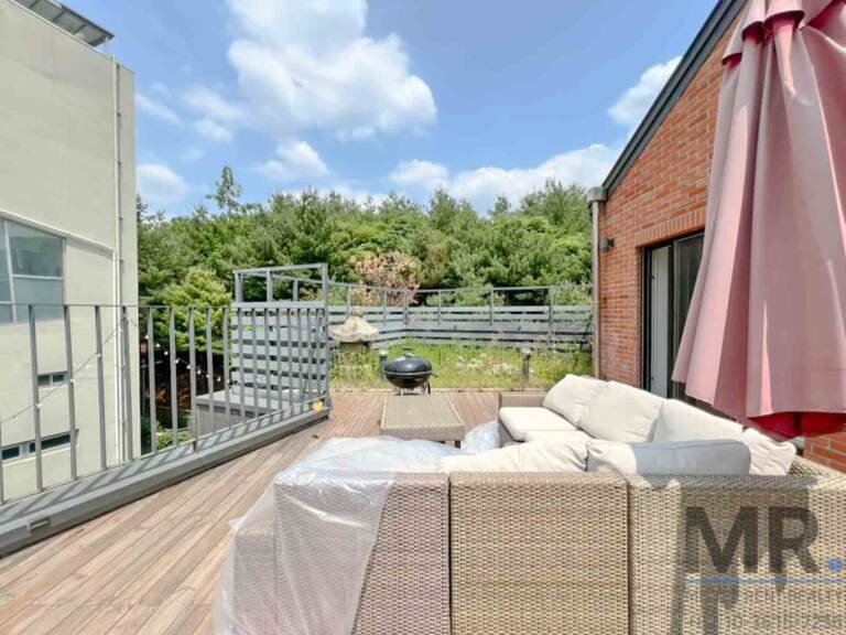 Wooden rooftop deck with lounge seating surrounded by trees